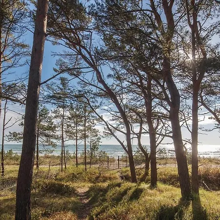 Apartman Angel Binz